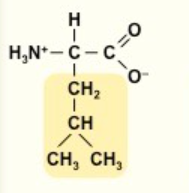 <p>L</p><p>nonpolar</p><p></p>