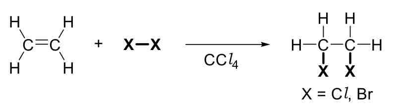 <p>Addition of Halogens</p>