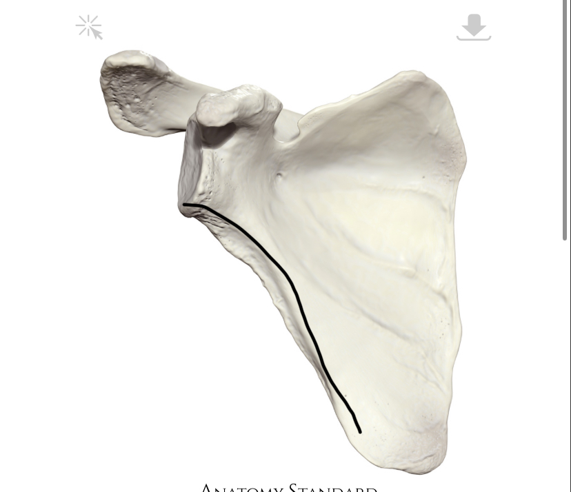 <p>Hoe heet dit deel?</p>