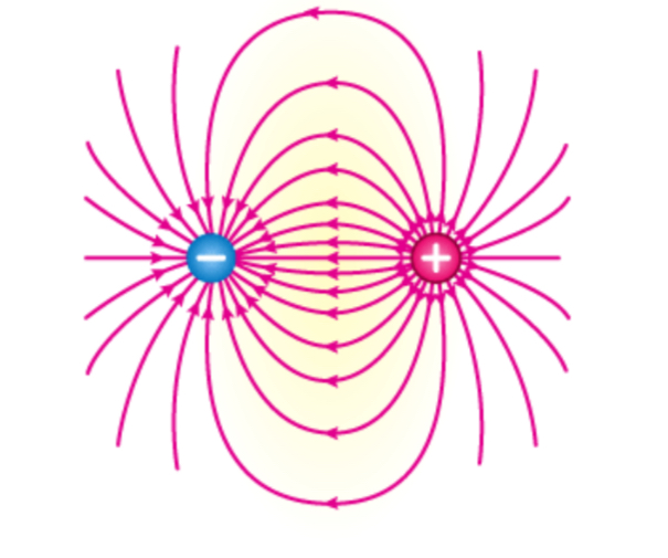 <p>Electric field lines go from positive charge to negative charge to show attraction, Two particles that generate their own electric field, we can add fields together to create a total electric field. </p><p>* Principle known as superposition</p>