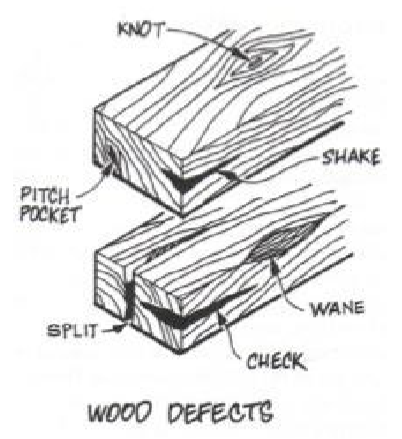 <p>opening between growth rings and containing resin</p>