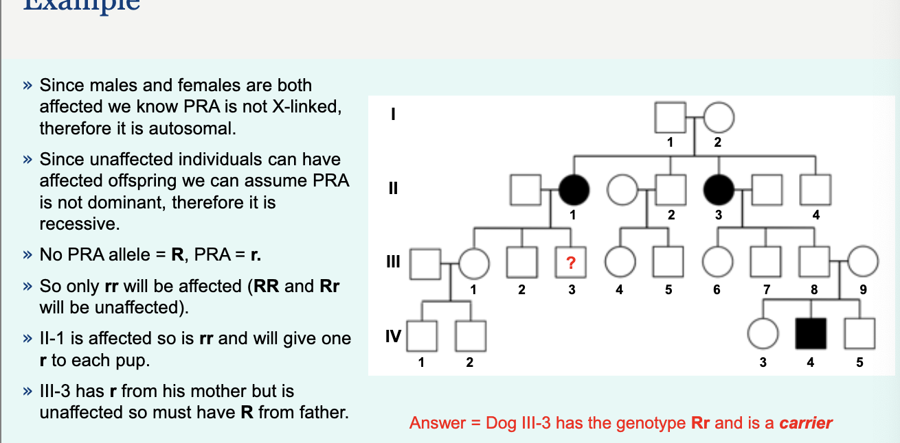<p>u will practice these kind of questions</p>