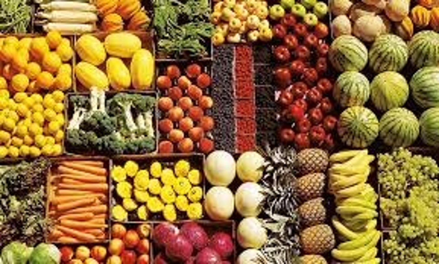 <p>sự đa dạng, nhiều loại</p>