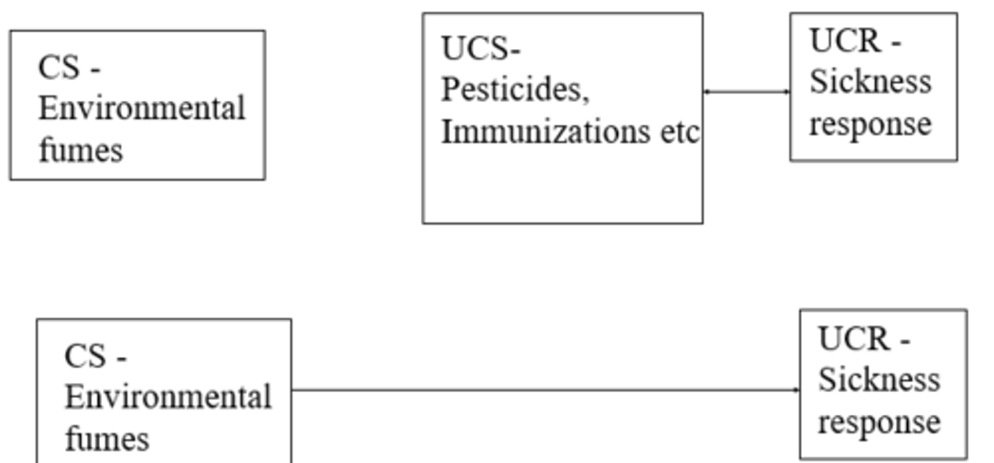 <p>Symptom reporting (sickness) becomes conditioned on environmental triggers (environmental fumes) without the actual thing that causes sickness. </p><p>- more severed odours 'cause' increased symptoms on subsequent day. </p>