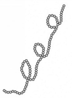 <p>unbranched chains composed of 250 to 4000 α-D-glucose units joined by α(1→4) glycosidic linkages</p>