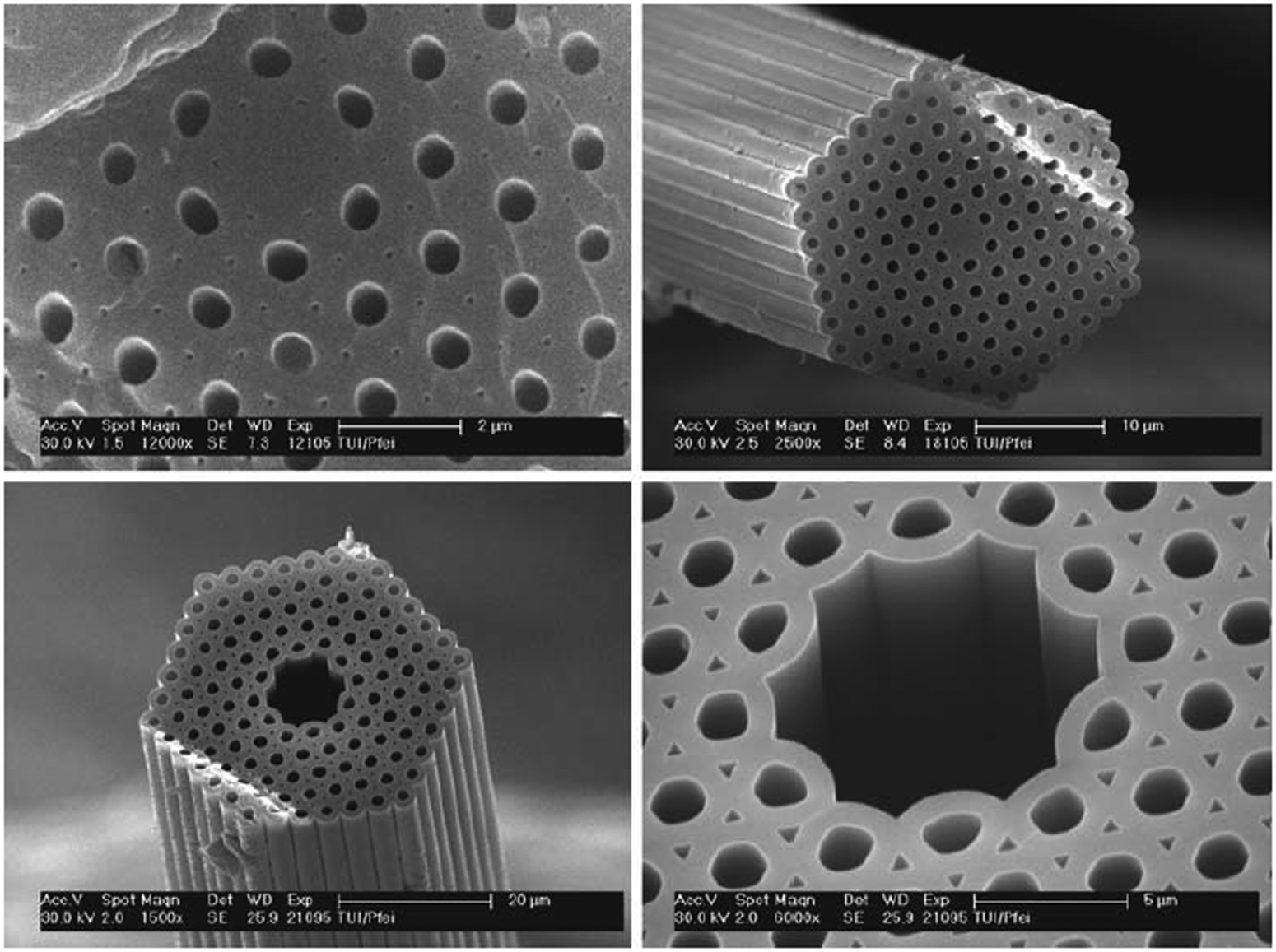 <p>Encapsulation:</p><p>Magnetic Porous Glass (<span style="color: rgb(18, 190, 234);">MPG</span>) - Preparation</p>