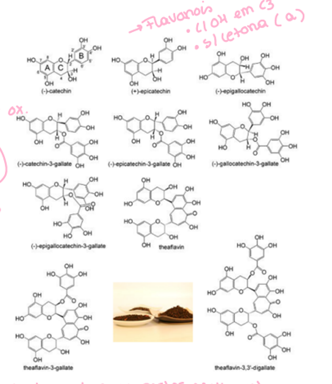 <p>Da plnta: camellia sinensis</p><p>Chá verde: não sofre fermentação por isso é mais antioxidante, sofre apenas murchamento parcial, aquecimento e rolagem.</p><p>Chá preto: murchamento, rolagem, fermentação e aquecimento.</p><p>Chá oolong: murchamento, rolagem, fermentação parcial e aquecimento.</p><p>há diferente ação das polifenoloxidases</p>