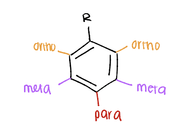 <p>ortho (1 carbon away), meta (2 carbons away), para (3 carbons away)</p>