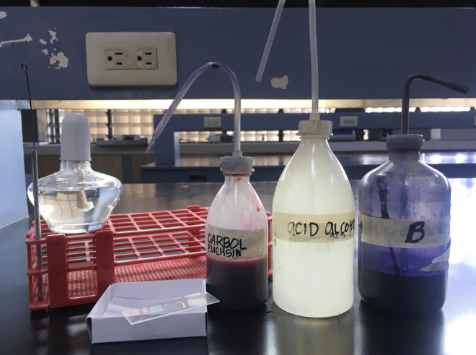 <p>Identify the test (Indicate the specific method of the test)</p>