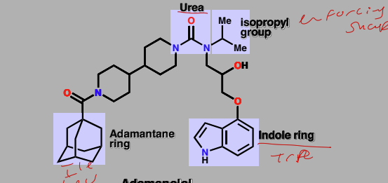 term image