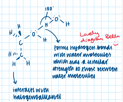 <ul><li><p>ethanol has both polar and non-polar characteristics</p></li><li><p>polar - hydroxyl group </p></li><li><p>rest of molecule is alkyl chain </p></li></ul><p></p>