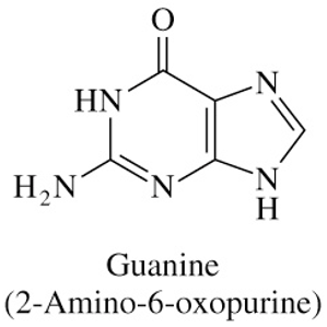 <ul><li><p>NH2 group on C2</p></li><li><p>C=O bond on C6</p></li></ul><p></p>