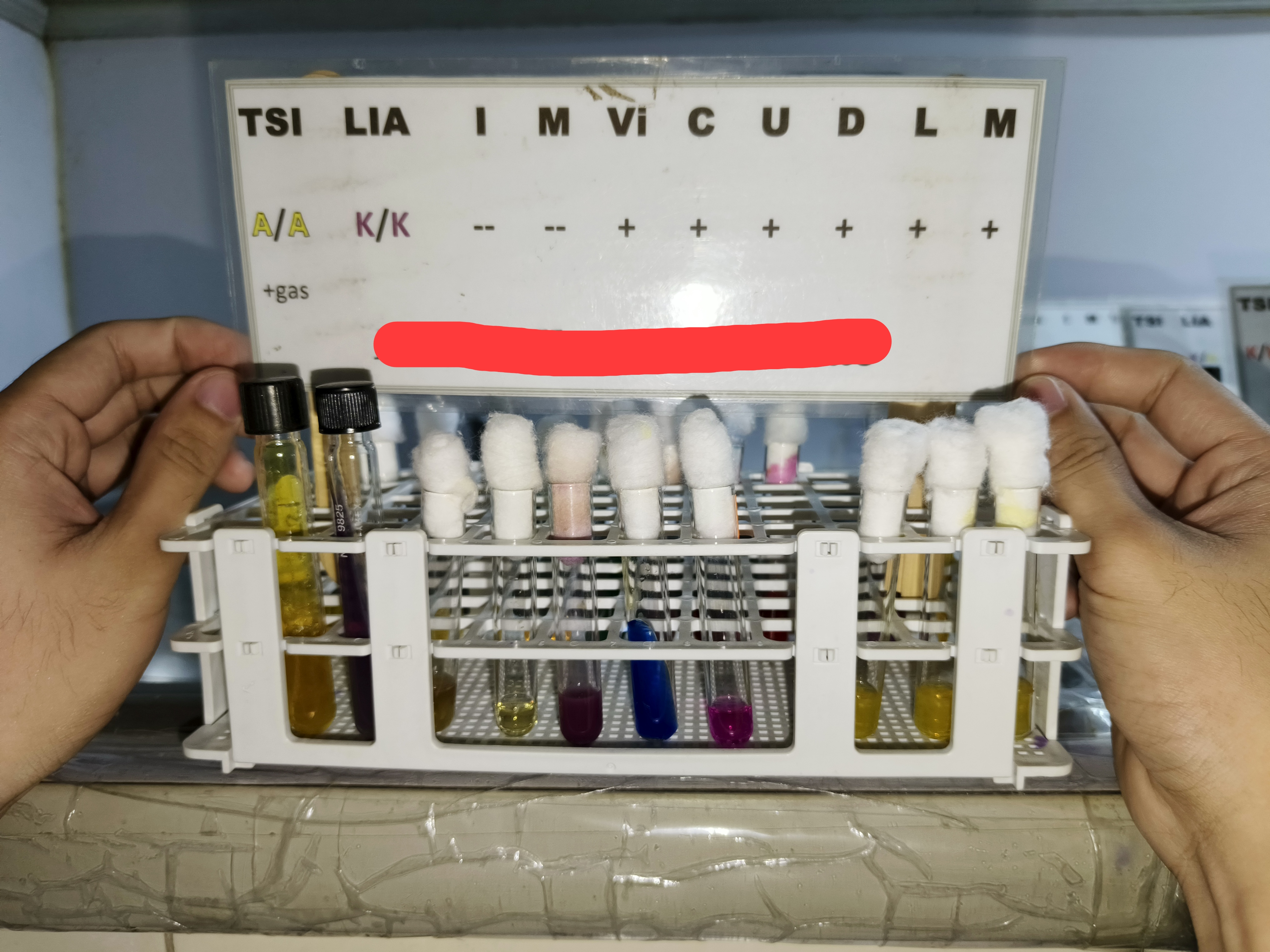 <p>Identify </p>