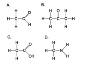 <p><span>Which molecule shown above would have a positive charge in a cell?</span></p><ol><li><p>A</p></li><li><p>B</p></li><li><p>C</p></li><li><p>D</p></li></ol><p></p>