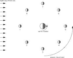 <p>In which position(s) would a person on Earth see a moon in the waning phases?</p>