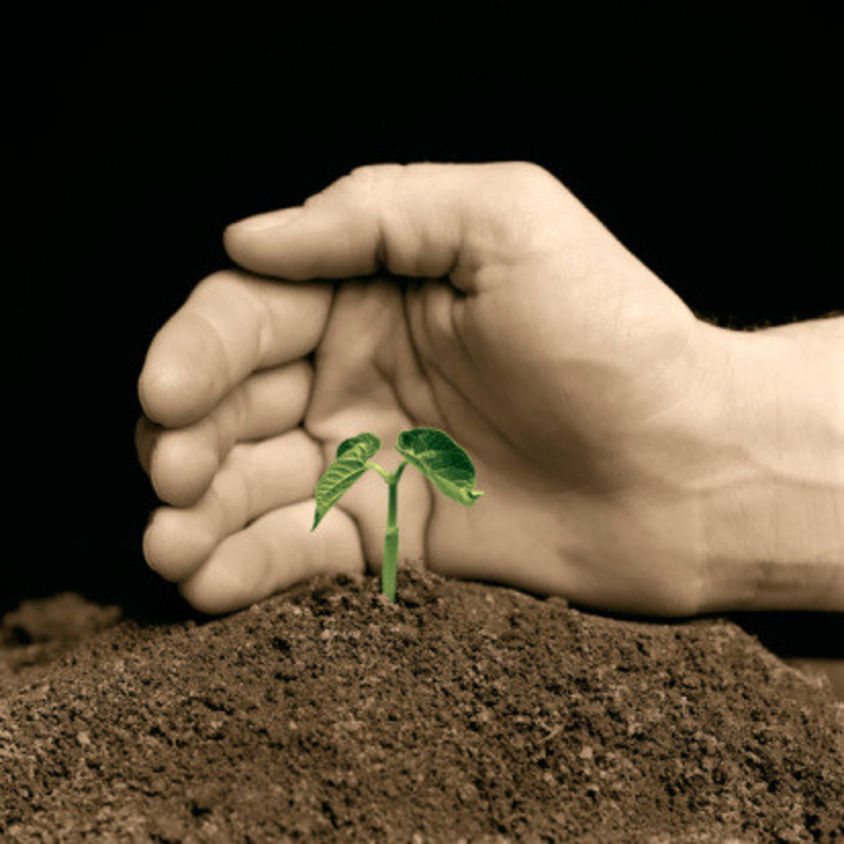 <p>to keep something going or maintain it at the same level</p>