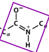 <p>the carbonyl carbon, the carbonyl oxygen, the amide nitrogen, the amide hydrogen, and the two alpha carbons </p>