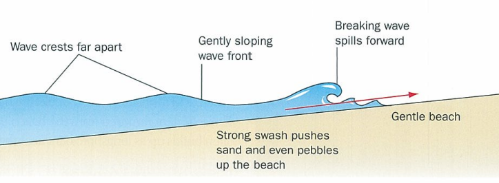 <p>spill up on the beach producing a strong swash but the backwash is weak especially on gently sloping beaches.</p>