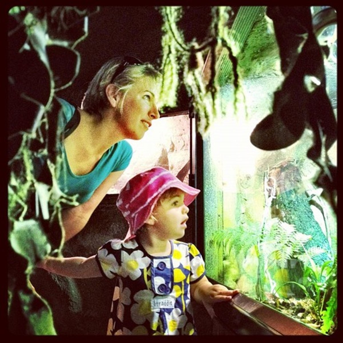 <p>/ˈkæptɪˌveɪt/ cuốn hút, mê hoặc</p>