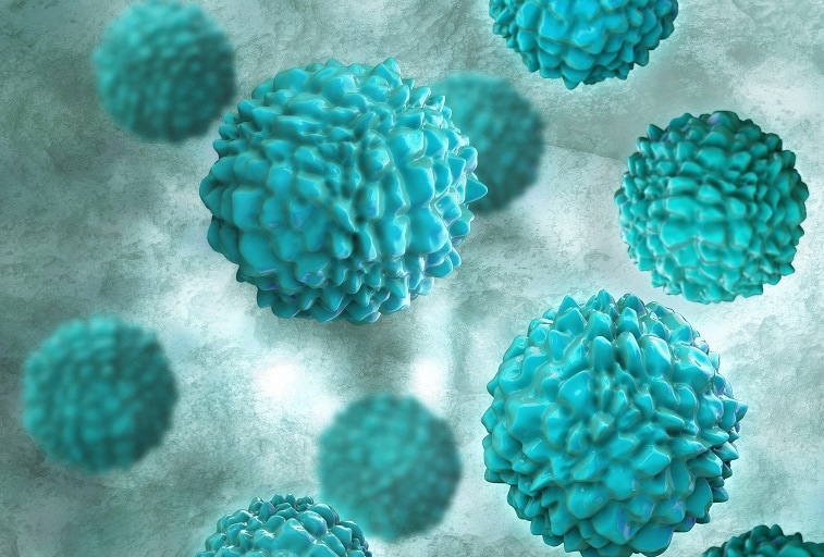 <ul><li><p>genome: Non-enveloped, positive-sense, ssRNA.</p></li><li><p>causes a sudden onset of symptoms: headache, malaise, and diarrhea. </p></li><li><p>outbreaks common on <em>cruise ships.</em></p></li></ul><p></p>