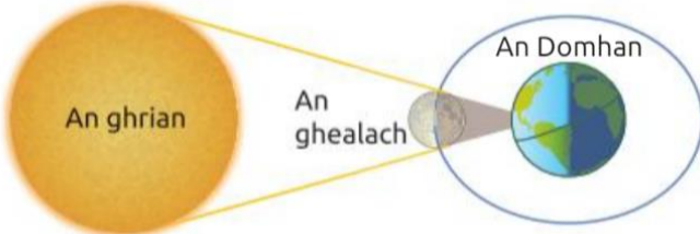 knowt flashcard image