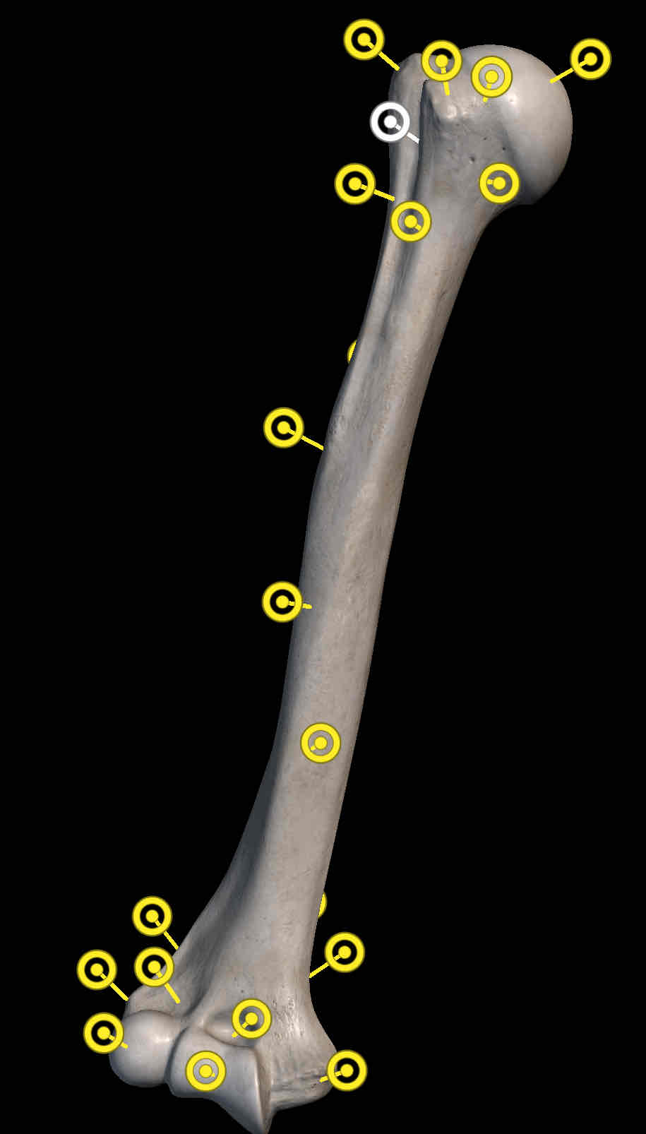 <p>Name the structure</p>