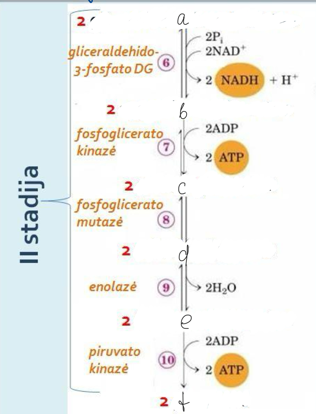 <p>a</p>