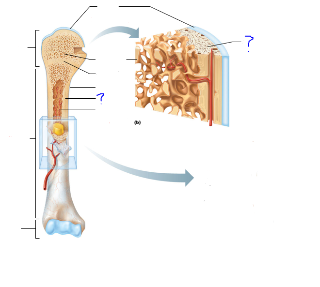 <p>(?)</p>