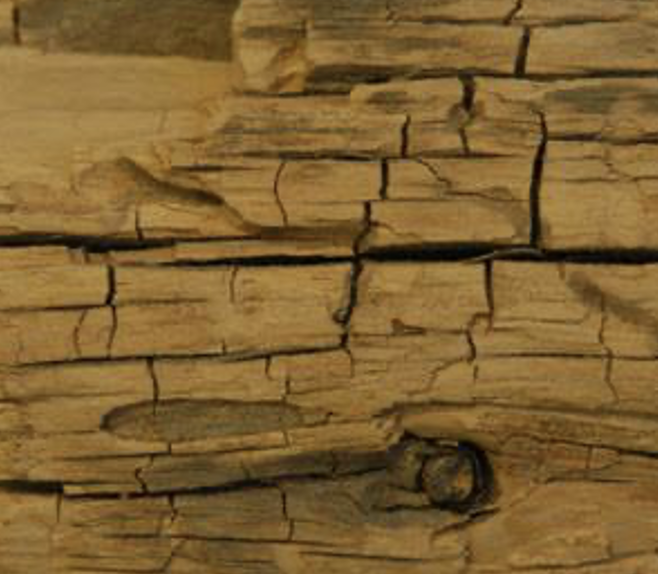 <p>surface decays (softens) first, Cubical checking on surface (similar to brown rot), Often restricted to sapwood even late in decay.</p>