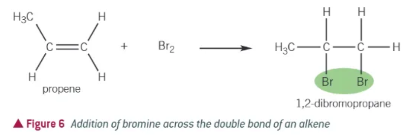 <p>alkene + halogen → dihaloalkane</p>