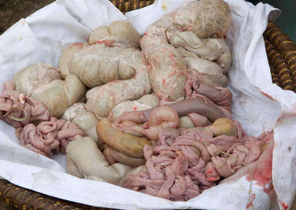 <p>Name: Large intestine<br>Primal: Gastrointestinal tract</p><p>Features:  caecum, colon, rectum</p>