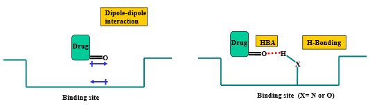 <p>Through carbonyl oxygen:</p><ul><li><p>hydrogen bond accepter</p></li><li><p>dipole-dipole interactions</p></li></ul>