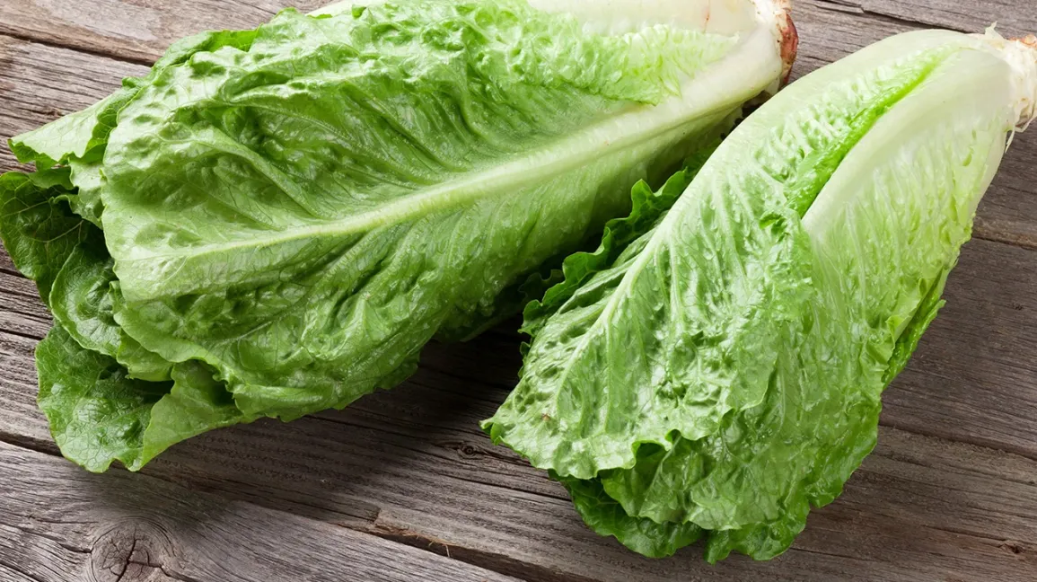 <p>이건 무슨 채소인가요?</p>