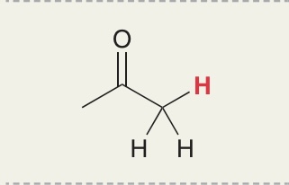 <p>H in keton- CH3</p>