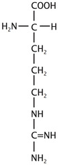 <p>Polar basic, positive charge</p>