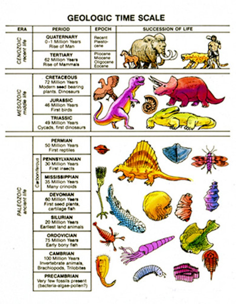 <p>a period of time in history or a person's life, typically one marked by notable events or particular characteristics</p>