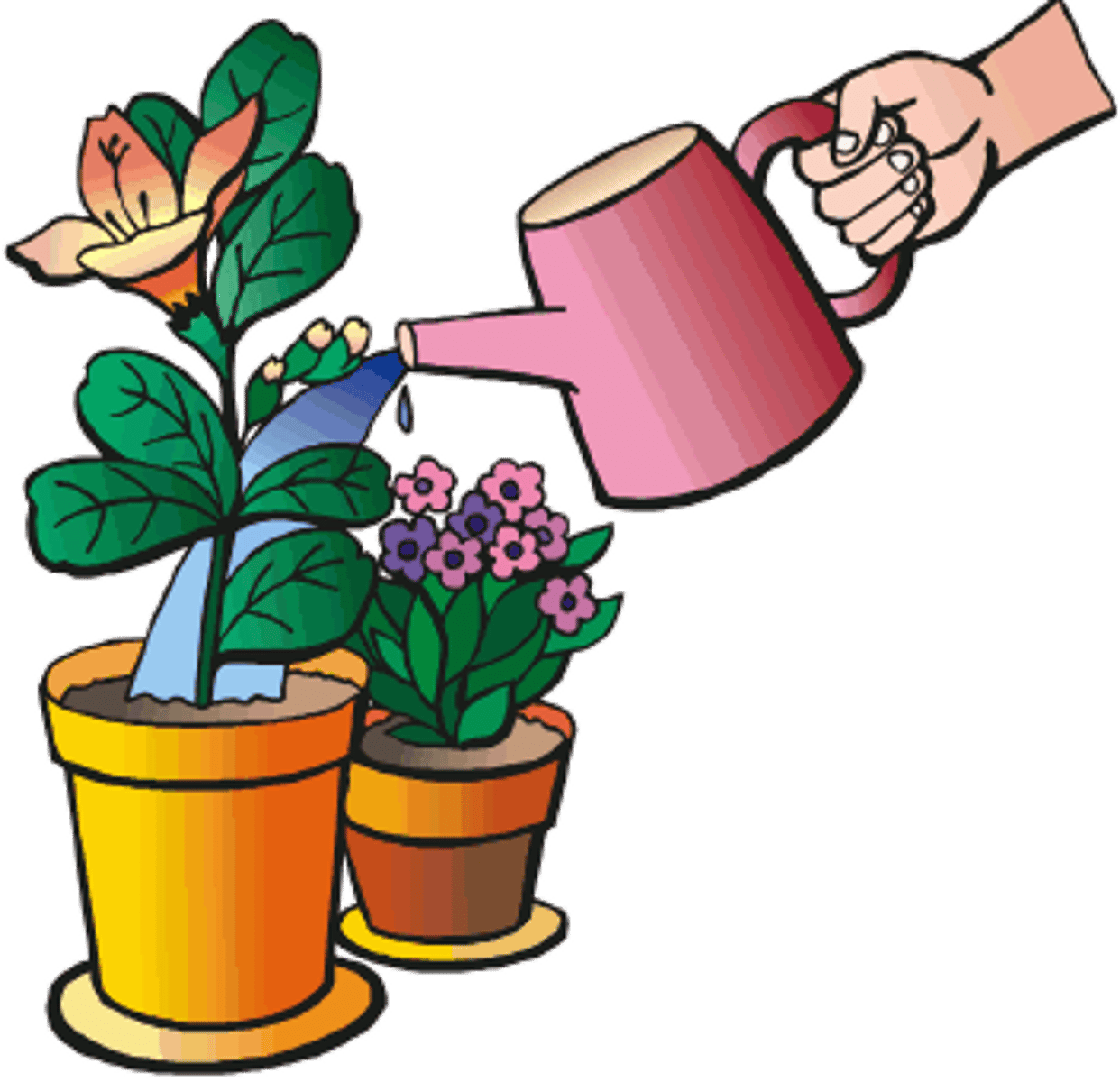 <p>Water the plants, to</p>