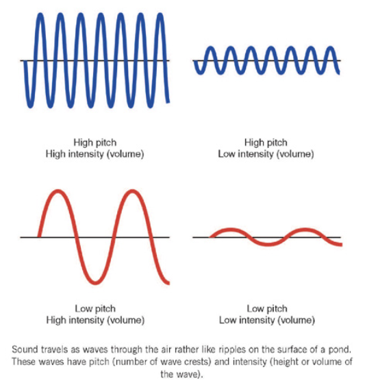 <p>The sense of hearing</p>