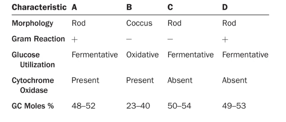<ol><li><p>Which of the following organisms are most closely related? </p></li><li><p>Are any two the same species? </p></li></ol><p>On what did you base your answer?</p><p></p>