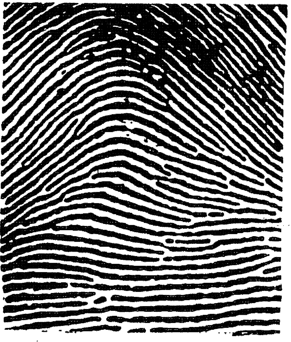 <p>?</p>