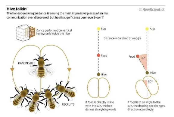 <p>What does this image tell us</p>