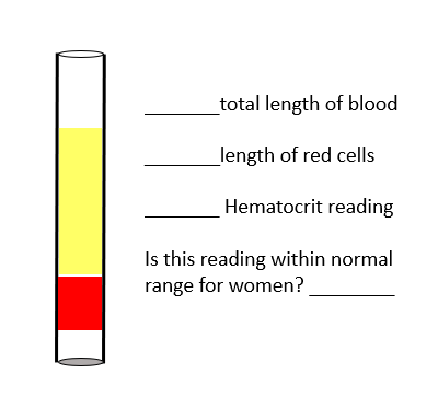 <p><strong>Total length of blood:</strong> Entire column of blood in the tube (red + yellow = 100%).</p><p><strong>Length of red cells:</strong> The red portion at the bottom of the tube (about 30% of the total length).</p><p><strong>Hematocrit reading:</strong> 30%.</p><p><strong>Is this reading within normal range for women?</strong> No, the normal hematocrit range for women is approximately <strong>36–48%</strong>, so <strong>30% is below normal</strong> (indicating possible anemia).</p>
