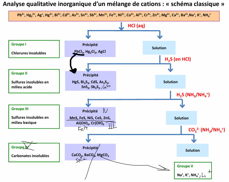 <p>Tous les cations X. qui VS les autres</p><p>I. précipitent dans HCl dilué à chaud :</p><ul><li><p>Ag<sup>+</sup> soluble dans NH<sub>3</sub> aq</p></li><li><p>Hg<sub>2</sub><sup>2+ </sup>insoluble dans NH<sub>3</sub> aq</p></li></ul><p>II. précipitent en sulfure de métaux (issu de l’hydrolyse de thioacétamide en milieu HA)</p><ul><li><p>IIa : As<sup>3+</sup>, Sn<sup>2+</sup>, Sb<sup>3+</sup> → Précipité soluble dans les alcalis</p></li><li><p>IIb : Hg<sup>2+</sup>, Pb<sup>2+</sup>, Bi<sup>3+</sup>, Cu<sup>2+</sup>, Cd<sup>2+</sup> → précipité INsoluble dans les alcalis</p></li></ul><p>III. précipitent en hydroxyde de métal avec NH<sub>4</sub>OH en présence de NH<sub>4</sub>Cl (pour effet d’ion commun et favoriser la forme NH<sub>4</sub>OH VS NH<sub>4</sub><sup>+</sup> + OH<sup>-</sup>)</p><p>IV. précipitent en milieu neutre ou alcalin A EBULLITION pour éviter l’état colloïdal : Mn2+, NiS, CoS, ZnS</p><p>V. Ca2+, Sr2+, Ba2+</p><ul><li><p>donne des carbonates dans le carbonate ammoniacal</p></li><li><p>Métal M : MCl2, MS2, M(OH)2 solubles dans H2O</p></li><li><p>sels solubles avec NH2 COO- dans H2O</p></li></ul><p>VI. Pas de réactifs pour les séparer : solubles et polluants de l’eau</p><p>→ Mg<sup>2+</sup>, Li<sup>+,</sup> K<sup>+,</sup> Na<sup>+</sup>, NH4<sup>+</sup></p>
