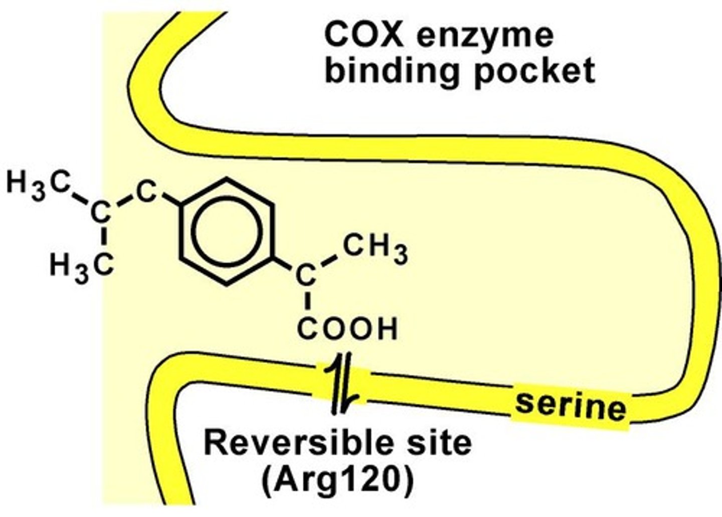<p>NSAIDs that temporarily inhibit COX enzymes.</p>
