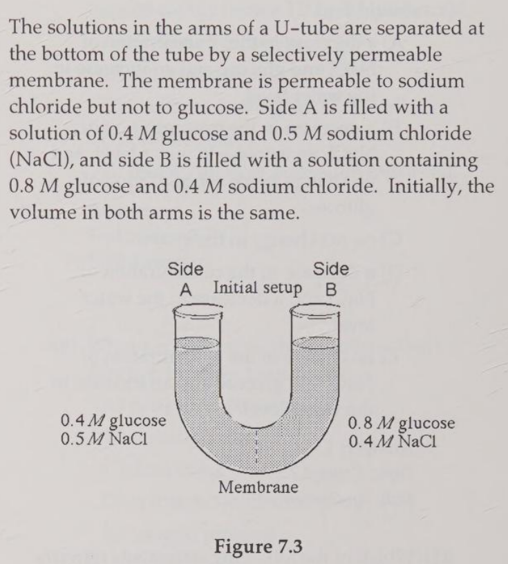 <p>At the beginning of the experiment</p><p>A) side A is hypertonic to side B</p><p>B) side A is hypotonic to side B</p><p>C) side A is isotonic to side B</p><p>D) side A is hypertonic to side B with respect to glucose</p><p>E) side A is hypotonic to side B with respect to sodium chloride</p>