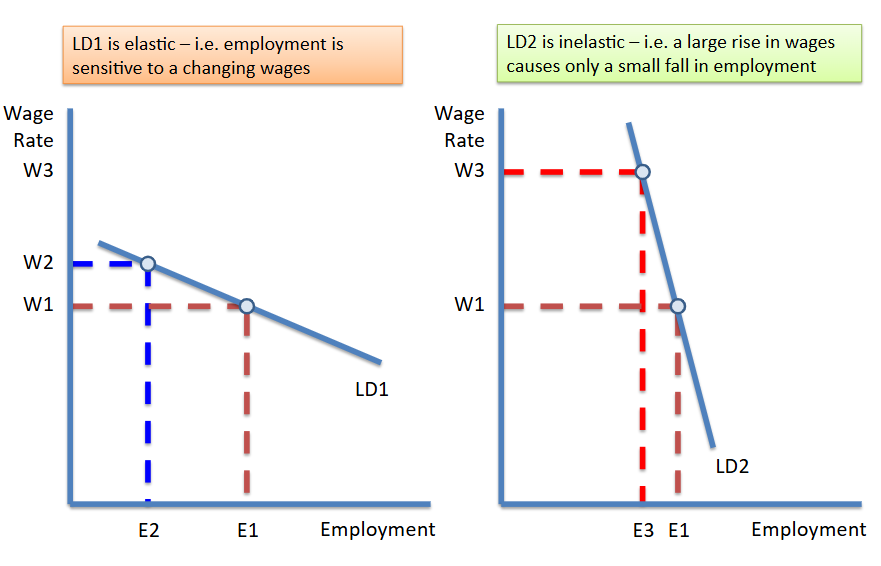 <p><span style="background-color: transparent;"><span>The responsiveness of labour demand when there is a change in the wage rate</span></span></p>