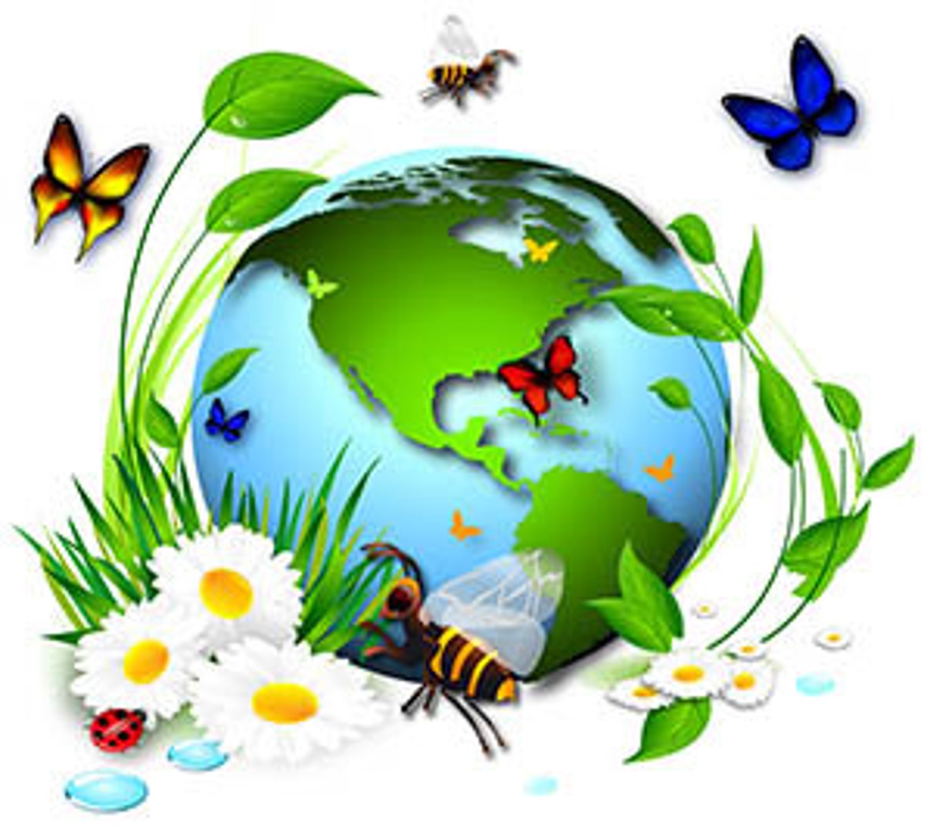 <p>biodiversity</p>