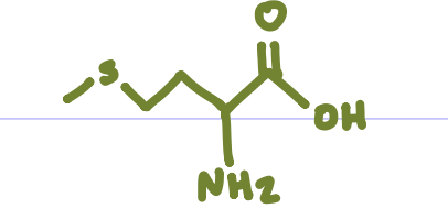 <p>Is this Amino Acid Polar or Non-polar?</p>