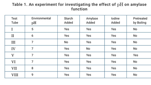 <p><span>Amylase is a protein that catalyzes the conversion of starch to simple sugars. Amylase activity in an aqueous solution can be measured by using iodine as a starch indicator. A solution containing iodine and starch will have a dark-blue color, whereas a solution containing iodine but no starch will have a light-brown color. The color change of an iodine solution from dark blue to light brown can be used to measure the rate at which starch is converted to simple sugars.</span><br><span>A student designs an experiment to investigate the effect of environmental pH on amylase function. The design of the experiment is presented in Table 1.</span><br><span>Which of the following statements best justifies the inclusion of test tube V as a control in the experiment?</span></p>
