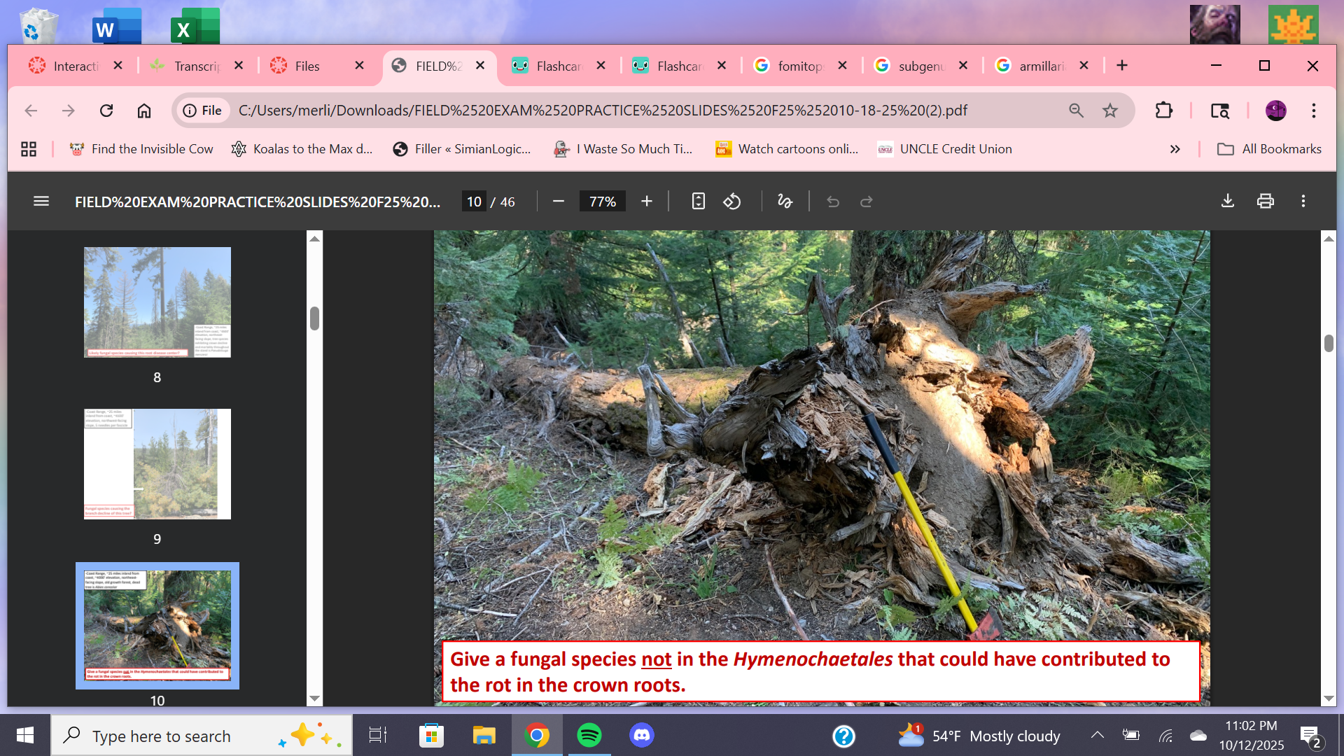 <p>Fungal species not in hymenochetales that contributed to crown root rot on Abies concolor?</p>